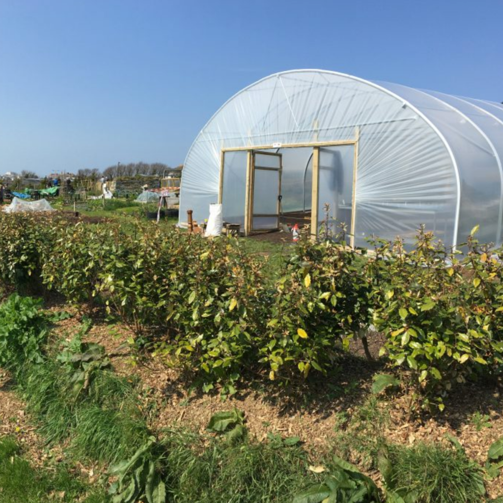 Polytunnel-WEB