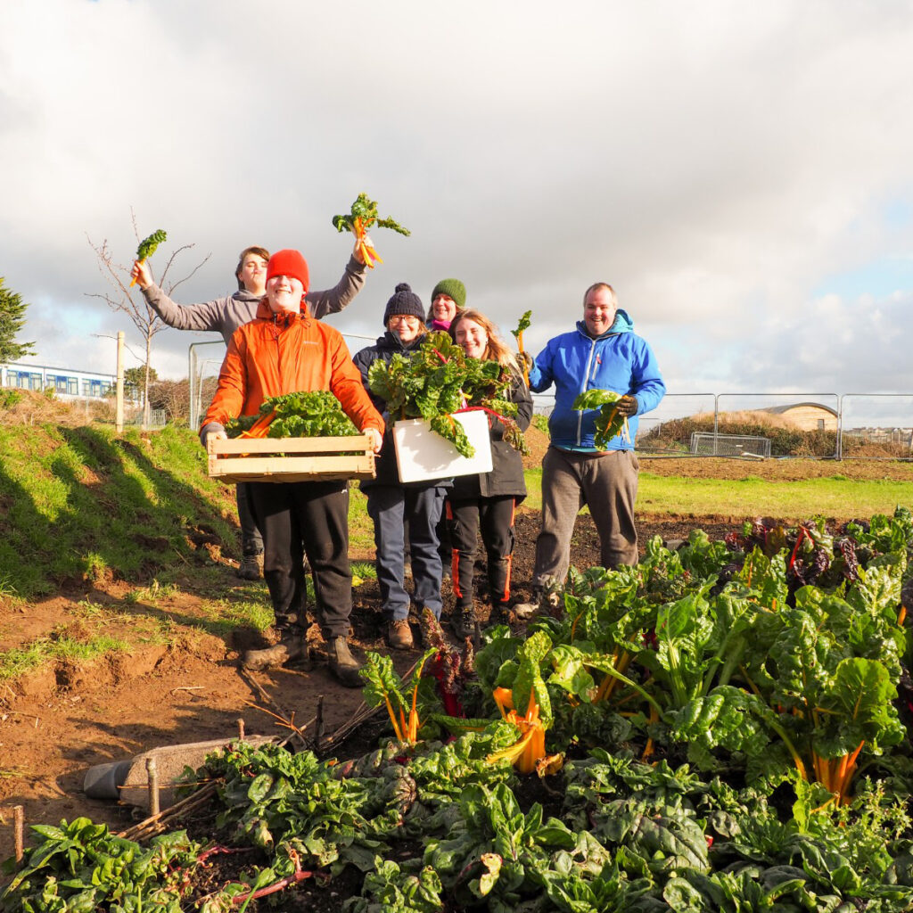 Volunteer at newquay orchard