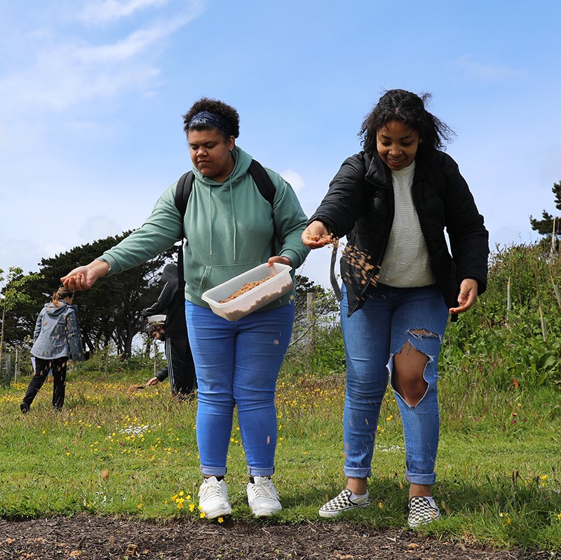 Taster days at Newquay Orchard