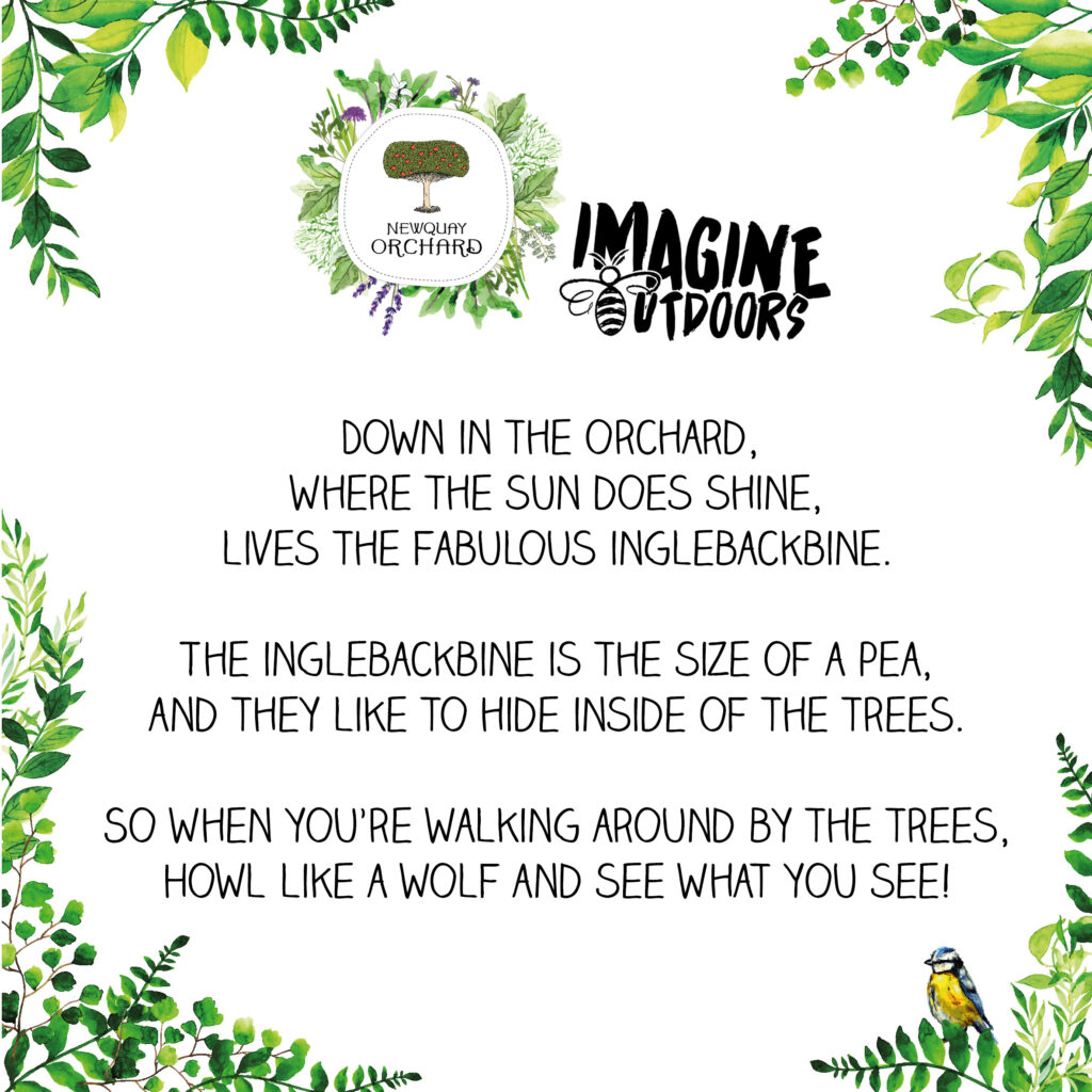 inglebackbine