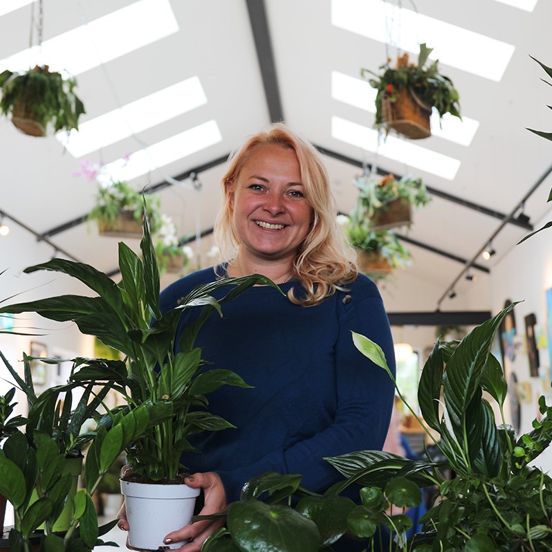 Pop up plant sale
