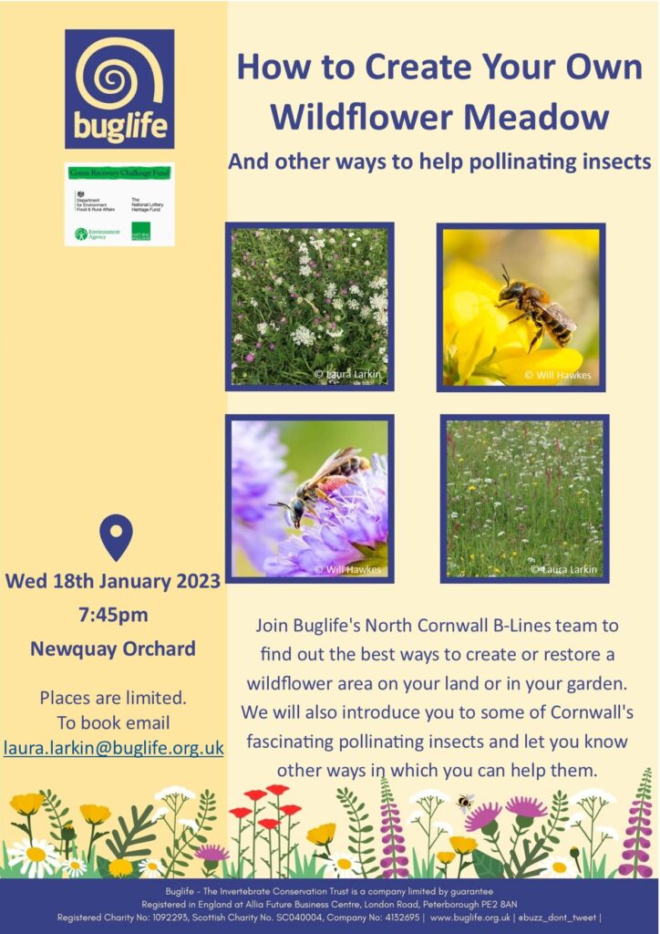 Buglife-Talk-Newquay-Orchard