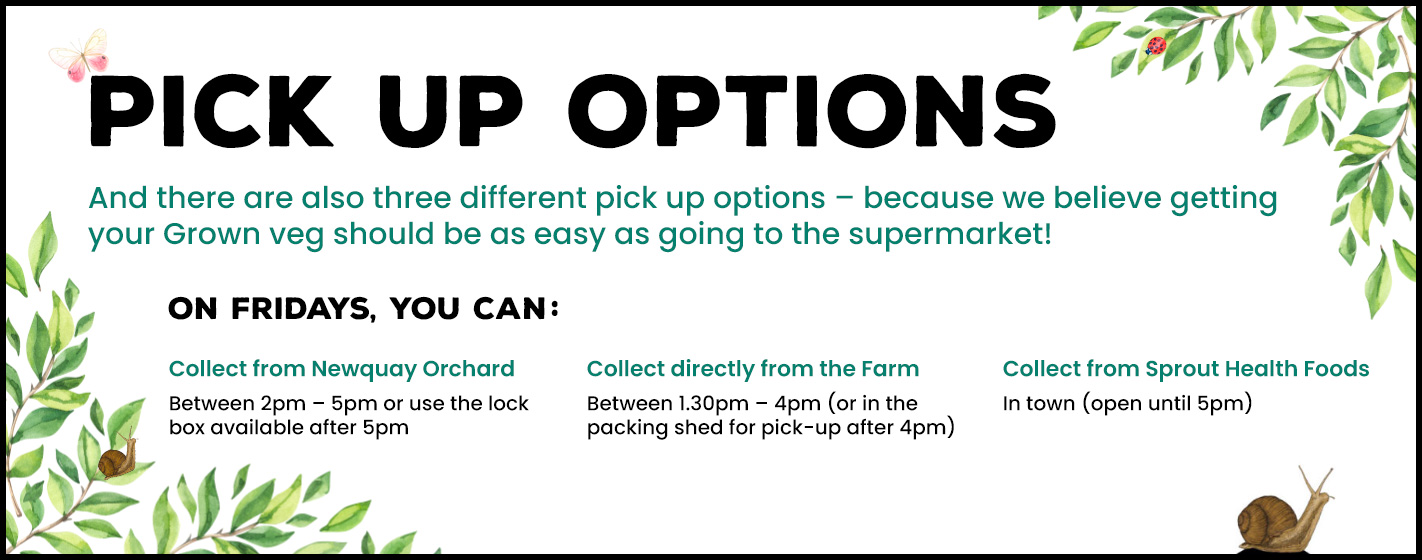 Three different pick up options – because we believe getting your Grown veg should be as easy as going to the supermarket!