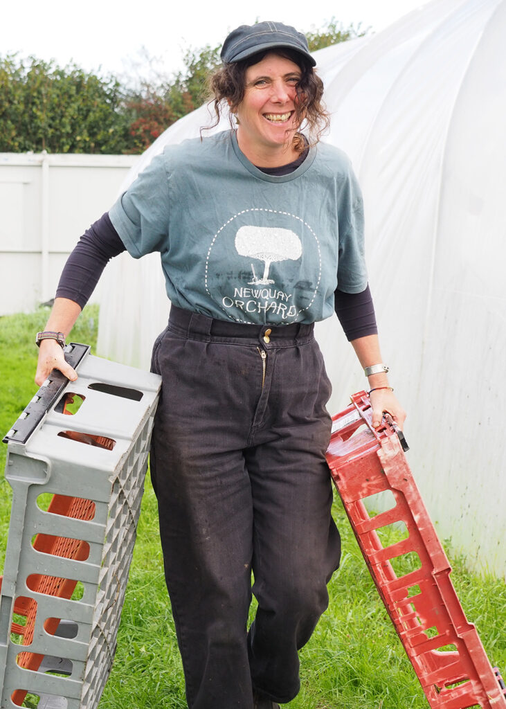 Hetty, Newquay Orchard