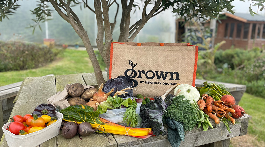 Grown - Newquay Orchard