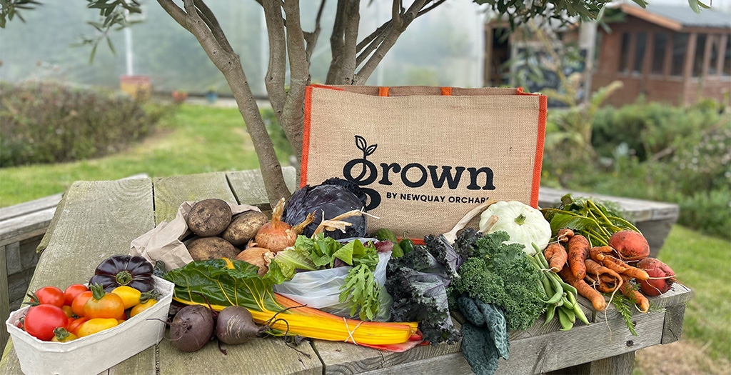 Grown - Newquay Orchard