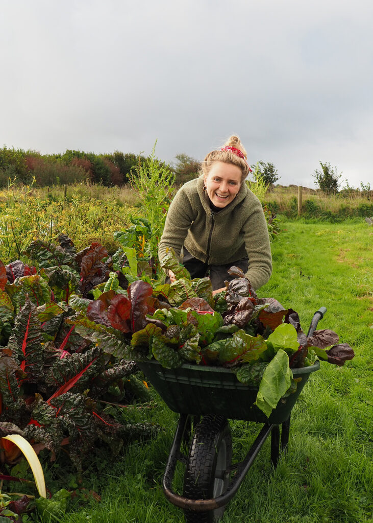 Rosie, Newquay Orchard