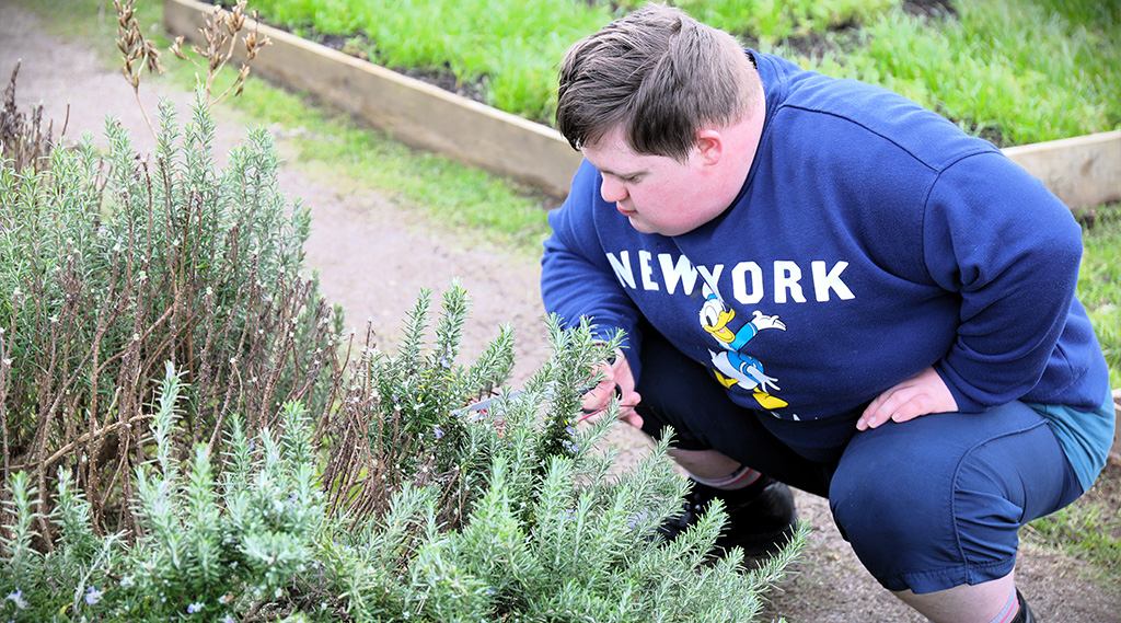 Matthew, Newquay Orchard